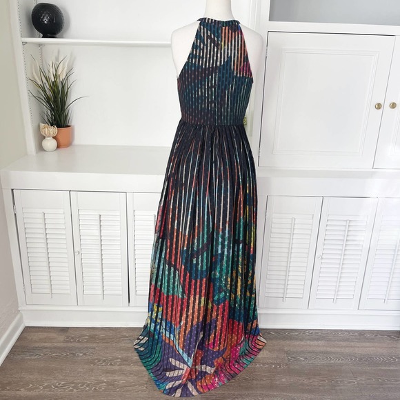 Anthropologie Geisha Designs Kalinka Pleated Floral Stripe Maxi Dress Size S/4 - Picture 5 of 7